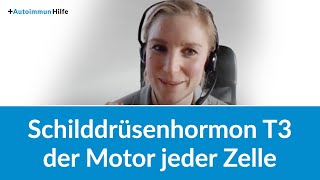 Schilddrüsenhormon T3 - der Motor jeder Zelle