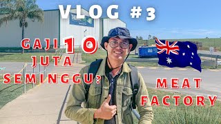 Gaji 10 juta per minggu WHV Australia di Meat Factory ? - VLOG #3