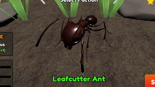 Ants vs Bug - LeafCutter Ants vs Bug KB Battle ⚔️