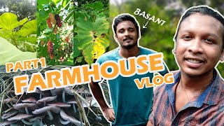 FARMHOUSE | Visiting My Friend In Hurlung Part-1 | Jamshedpur | Hindi Vlog