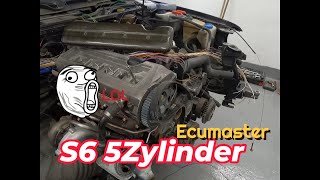 Audi 5Zylinder S6 Ecumaster Kabelbaum es geht weiter!!