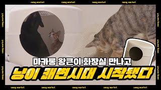 냥체공학적 마카롱 고양이 화장실🚽 (근데 이제 성인 남성이 올라가도 거뜬한..)ㅣ스웩마켓 @eut.d