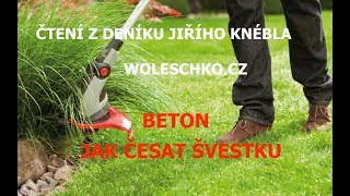 BETON, JAK ČESAT ŠVESTKU