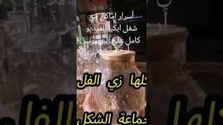 #اكسبلور شريف المسيري