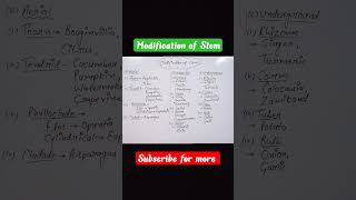 Modification of stem|Morphology of flowering plants ☘️ #shorts #youtubeshorts #neet