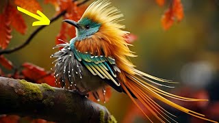 These Are The Most Beautiful Birds On The Planet Earth