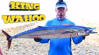 BIG WAHOO FISH CAUGHT IN TROLLING, BEST FIGHT | JIGMAX 2 ROD BY GOODCATCH