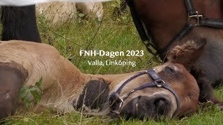 FNH Dagen 2023 Valla Linköping, Föreningen Nordsvenska hästen