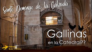 Qué no te tienes que perder de Santo Domingo de la Calzada