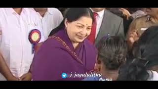 j jayalalitha Happy birthday Amm a