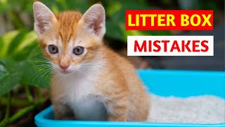 Avoid These Litter Box mistakes to Keep Your Cat Happy and Healthy!