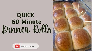 60 Minute Dinner Rolls | Fresh Milled Whole Wheat