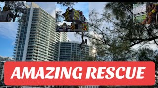 Hero firefighters save Pelican in daring rescue - Haulover Inlet #hauloverinlet #firefighters