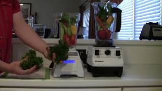 Blendtec Total Blender vs  Vitamix 5200, Part 1 of 5   Power, Short Test blender dude