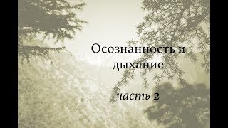 Осознанность и дыхание (2)