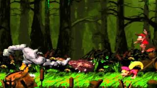 Donkey Kong Country 2 (Perfect Run): World 3, Level 7