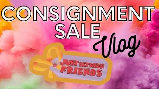 Just Between Friends Kids Consignment Sale Vlog! How Much Did I Spend?!