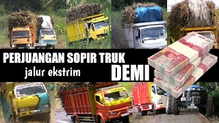 🔴 DEMI RUPIAH ! Perjuangan sopir truk tebu jalur ekstrim