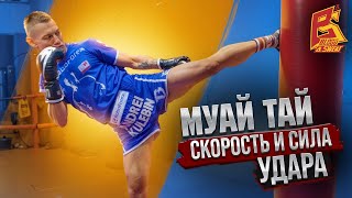 Сила и скорость ударов ногами / Белорусская школа тайского бокса