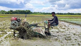 Village land cultivator // How to Boy is cultivating land with power tiller