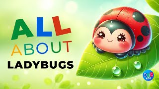 Lovely Ladybugs: DJC's Tiny Red Adventure!