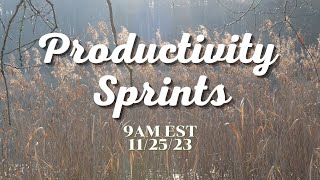 Last Saturday NaNoWriMo Productivity Sprints