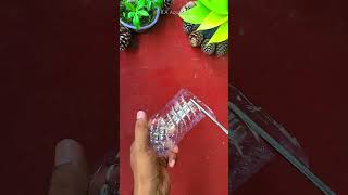 How to Propagate Plectranthus Verticillatus in Plastic Bottle - DIY #shorts