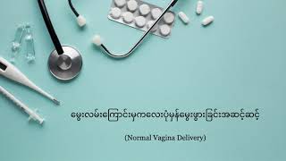 Normal Vaginal Delivery (Burmese Language)