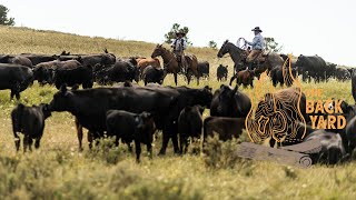 Double Rafter Cattle Drives | An Authentic 1880s Cattle Drive | (The Backyard Season Finale Teaser)