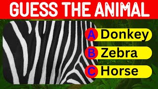 Guess the Animal Quiz | Can You Guess the Animal by Their Unique Textures? 🐾🔍