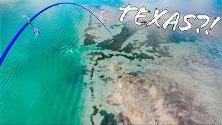 AMAZING TEXAS WATER for sight fishing!