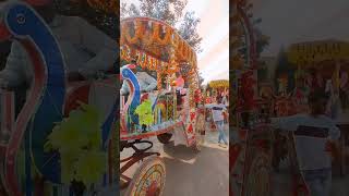 सामूहिक विवाह समारोह अम्बेडकर नगर| #shorts#shortsvideo#shortsfeed #akbarpur@AmbedkarNagarWale