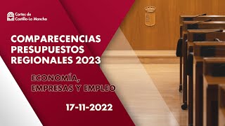 Comisión de Economía y Presupuestos (Economía, Empresas y Empleo) 17-11-2022