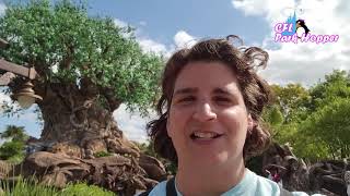 Disney’s Animal Kingdom: Must Sees!