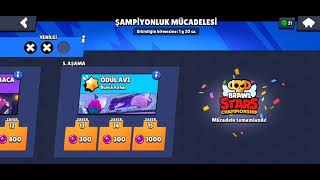 Şampiyonluk Mücadelesi Bitti?? E-sporcu olmamda ilk adım?! Ama Bir Sorun Var?!