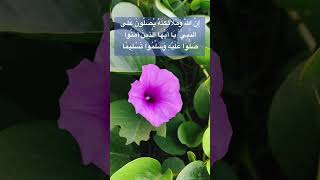 حالات واتس اب يوم الجمعه ❤️ ان الله وملائكته يصلون على النبي #يوم_الجمعة #اكسبلور