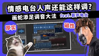 情感电台人声还能这样调？画蛇添足调音大法 愤怒的调音师 feat 慕声电台 有声书录音直播测评后期教学