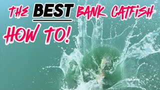 Bank Catfish HOW TO - Catfishing Tips, Baits & Location!