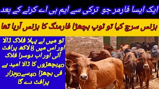 Pakistan Bachra Farming Top Business idea || 90 days Bachra Farming in pakistan