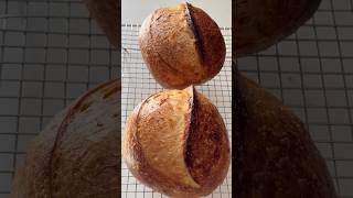 Sourdough bread shaping #shorts