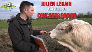 Julien Lehain nous parle de concours bovins