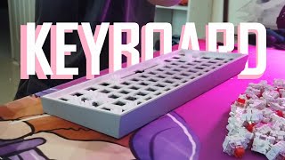 Modding My Keyboard (Redragon Fizz)