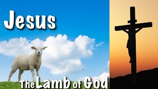 Jesus The Lamb of God || The Passion of Christ Animation || Spiritual Friends of Jesus