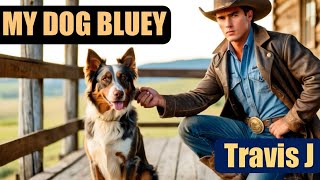 Relaxing Country Music Romantic Songs Cattle Dog Dog Song Farm Dog Brad Paisley Harth Brooks George