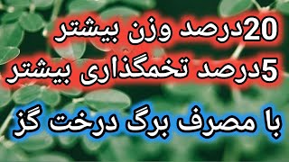 تاثیر عالی برگ درخت گز روغنی روی پرنده , خوراک ارزان , تغذیه طیور