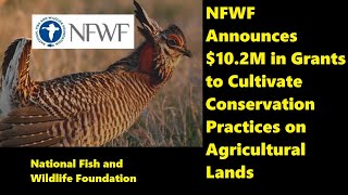 NFWF Announces $10.2 Million in Grants to Cultivate Conservation Practices on Agricultural Lands