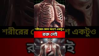 শরীরের কোন অংশে একটুও রক্ত নেই || 😱🤔 #shorts #viral #short #মানব শরীর