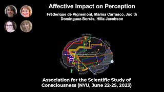 Symposium: Affective Impact on Perception | ASSC26