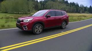 2019 Forester in its natural habitat