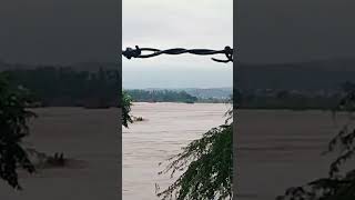 Ghaghar flood on very high mode || ghaghar || punjab